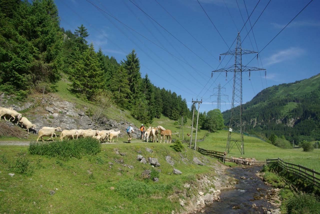 Haus Kohlberghof Hotel Бихлбах Екстериор снимка
